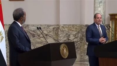 السيسي للمصريين: أي تحدٍّ يمكن مجابهته طالما الدولة مستقرة