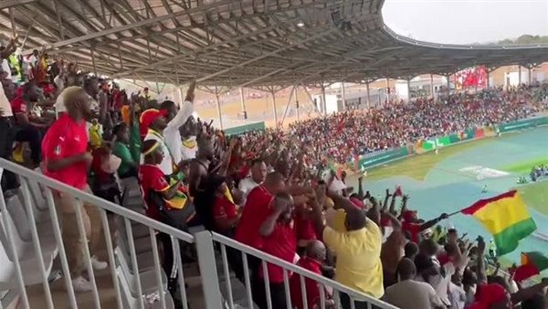 جماهير غينيا 