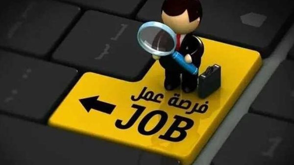  وظائف مصلحة الخبراء