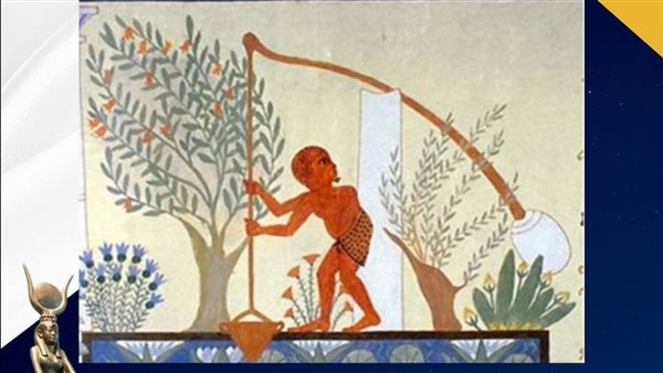  ري الأراضي الزراعية