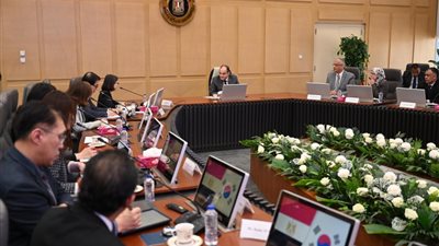 مصر تسعى لإنشاء نظام رقمي لرقابة استيراد السلع الصناعية وغير الغذائية