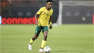 زواني: أثق في كل مباراة من تسجيل أهداف.. ومواجهة تونس حاسمة 