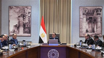 الحكومة: افتتاح 58 مصنعًا للصناعات الغذائية بتكلفة 220 مليون جنيه