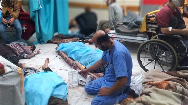 الطبيب الفلسطيني