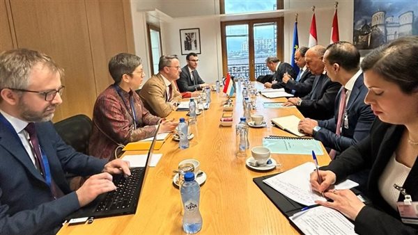 وزير الخارجية ونظيره