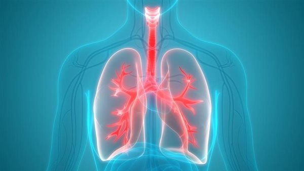 صحة الرئة 