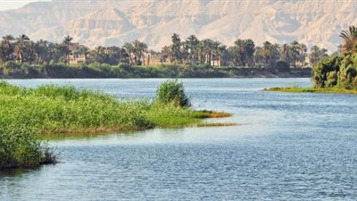 وزير الري: 90% من مياهنا تأتي من خارج حدودنا.. والزراعة المستهلك الأكبر بنسبة 75%