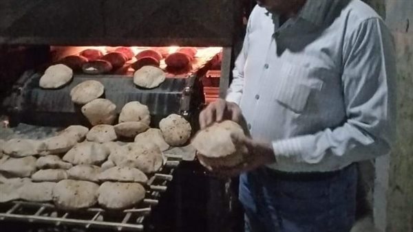 حملات تفتيشية بالمنيا