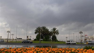 ابتعدوا عن أعمدة الإنارة.. الأرصاد تحذر: سقوط أمطار على مناطق متفرقة اليوم 