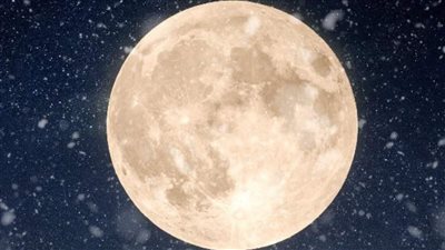 قمر الذئب.. بدر رجب يزين سماء الوطن العربي ليلًا