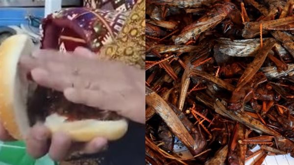 تناول الجراد في السعودية