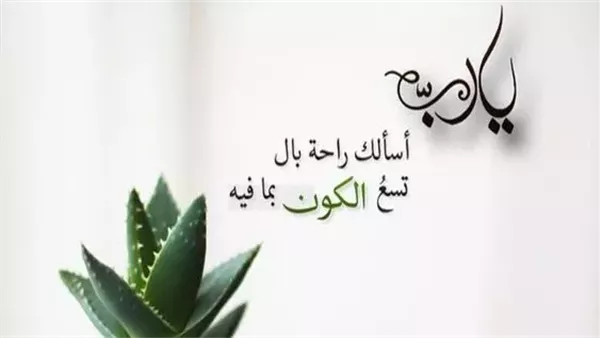 القاهرة 24
