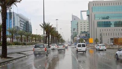 انكسار الشبورة على مدن ومراكز كفر الشيخ.. والأرصاد تحذر من طقس اليوم | بث مباشر