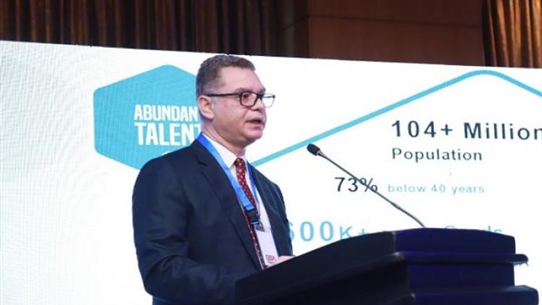 الرئيس التنفيذى لهيئة