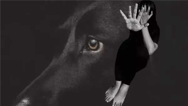 اللون الأسود في المنام