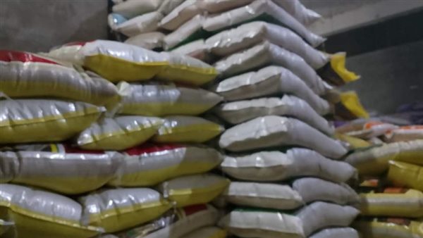 أرز - أرشيفية