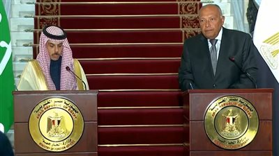 وزير الخارجية يجدد مطالبة مصر بالوقف الفوري والشامل لإطلاق النار في غزة والنفاذ الآمن للمساعدات