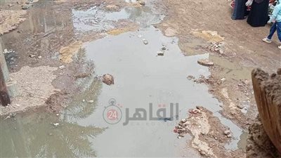 أهالي شارع ناصر في سنورس يشكون سوء الصرف الصحي: المياه غرقت بيوتنا خايفين على ولادنا