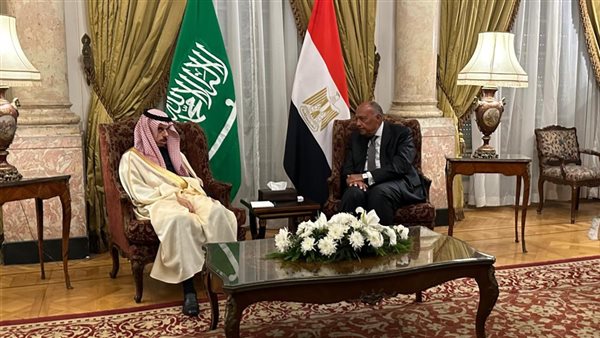 وزير الخارجية يستقبل