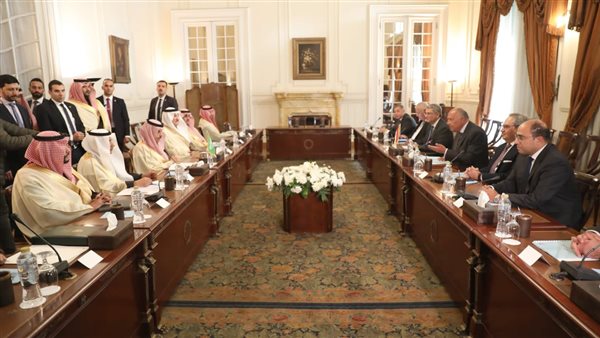 وزير الخارجية ونظيره