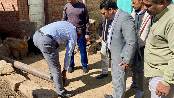 النيابة الإدارية