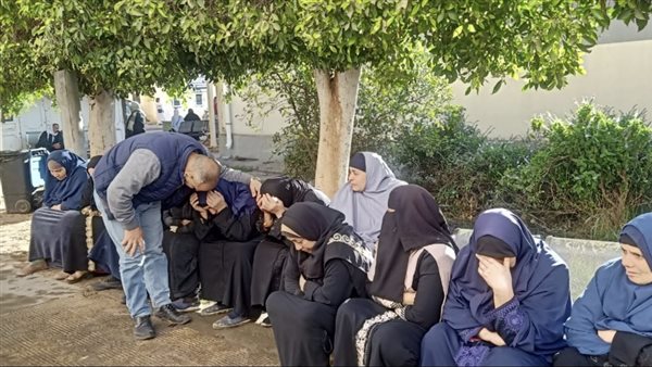 أسرة عروسة البحيرة