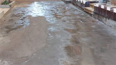 هطول أمطار على الغربية وسط غيوم وبرودة شديدة.. والمحافظ يرفع حالة الطوارئ