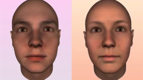 ملامح الوجه 