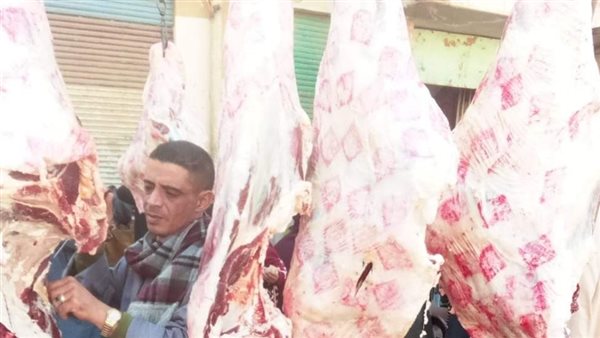 حملات تفتيشية بالمنيا