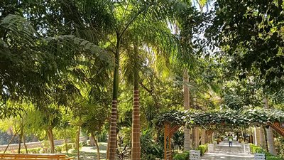 متحف مفتوح ومصدر انتعاش كبير للسياحة شتاء.. الحديقة النباتية أبرز معالم أسوان السياحية