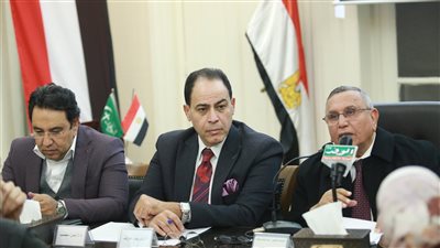 رئيس الوفد للعاملين في الخارج: حولوا 20% من دخلكم لمصر بالدولار 