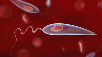 الهند تقترب من القضاء على مرض الكالازار.. وتواجه طفحا جلديا جديدا