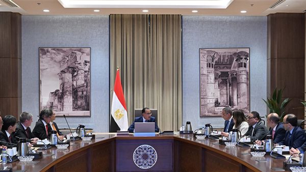 رئيس الوزراء يلتقي