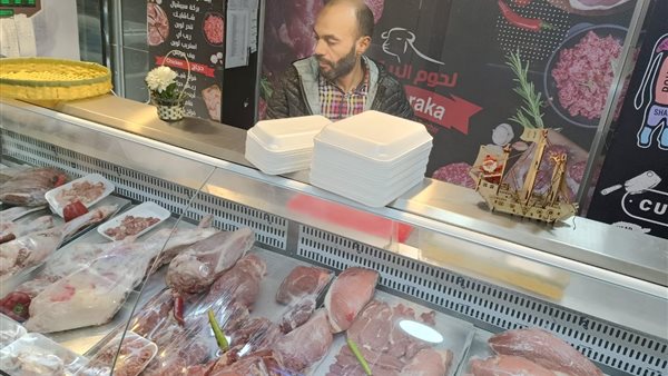 ضبط لحوم فاسدة بالجيزة