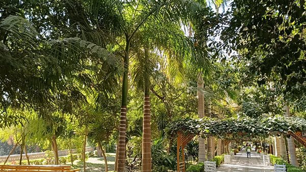 الحديقة النباتية