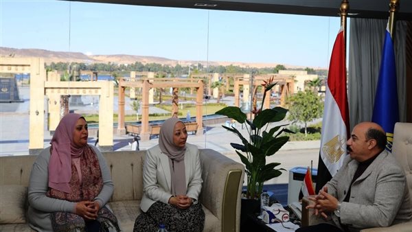 محافظ أسوان