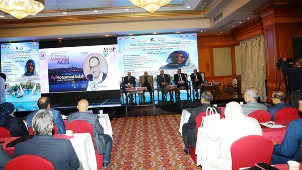 محافظ أسوان