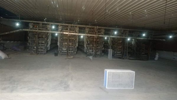 ضبط نخالة لتصنيعها