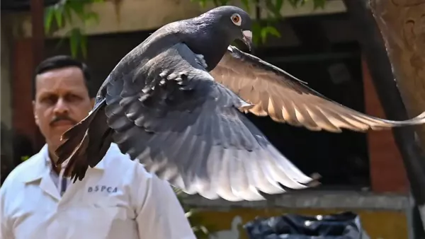 صورة تعبيرية 