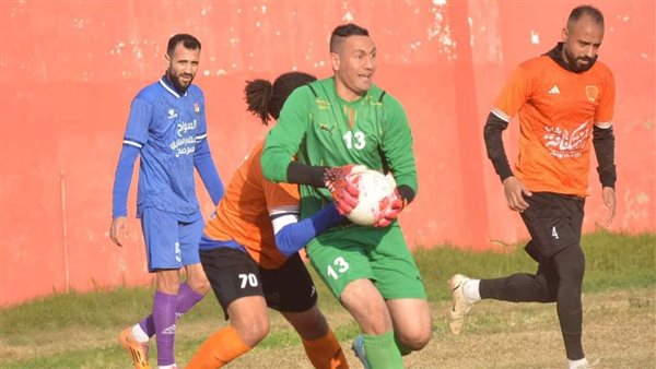 دوري المحترفين