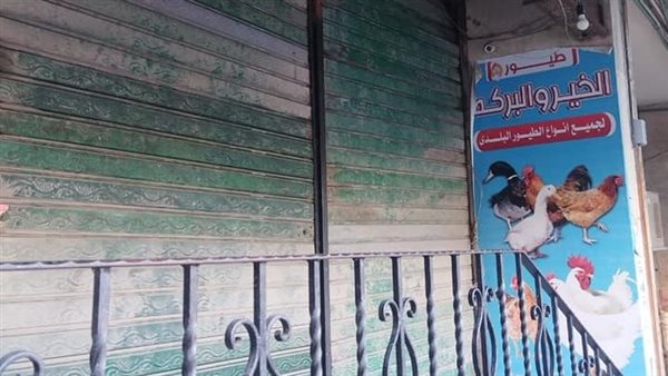 غلق وتشميع محل 