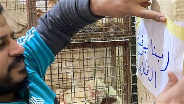 تاجر دواجن بالأقصر