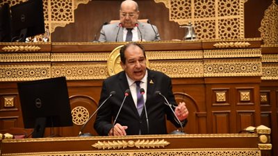 برلماني: مصر ينقصها آليات شحن سريعة للصادرات الزراعية