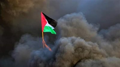 سفير بلجيكا لـ القاهرة 24: الفرصة سانحة الآن للاعتراف بفلسطين دولة مستقلة وسنساعد على تحقيق هذا الهدف