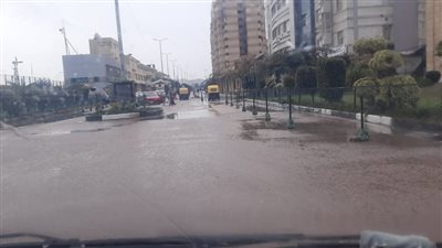 ابتعد عن الأشجار.. معلومات عن نوة الشمس الصغرى