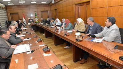 محافظ الدقهلية: إعداد دراسة لإنشاء مصنع تدوير قش الأرز وعرض المشروع على مستثمر أجنبي