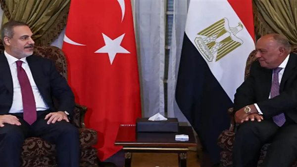 شكري وفيدان بالقاهرة