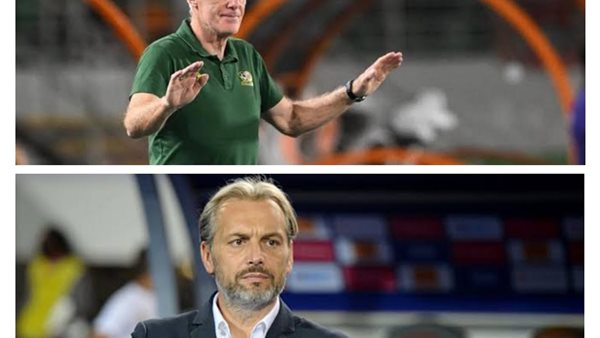 ديسابر وبروس 