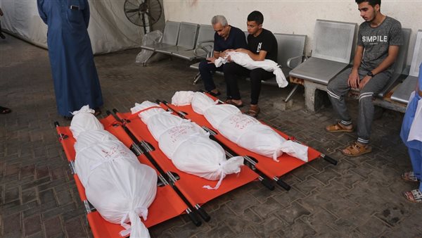 الفلسطيني طلعت برهوم