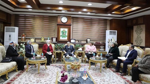 محافظ المنيا